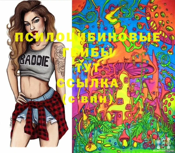 PSILOCYBIN Абдулино