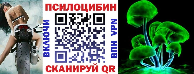 купить наркоту  Элиста  Псилоцибиновые грибы Psilocybine cubensis 