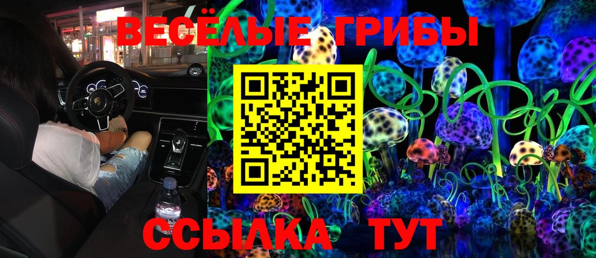 Галлюциногенные грибы MAGIC MUSHROOMS Элиста