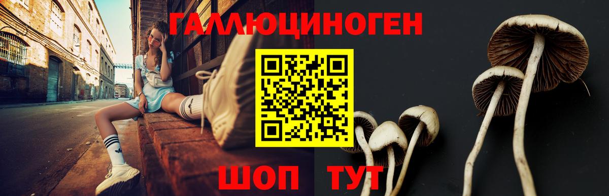 где продают   Вход с VPN  Элиста  Галлюциногенные грибы прущие грибы 
